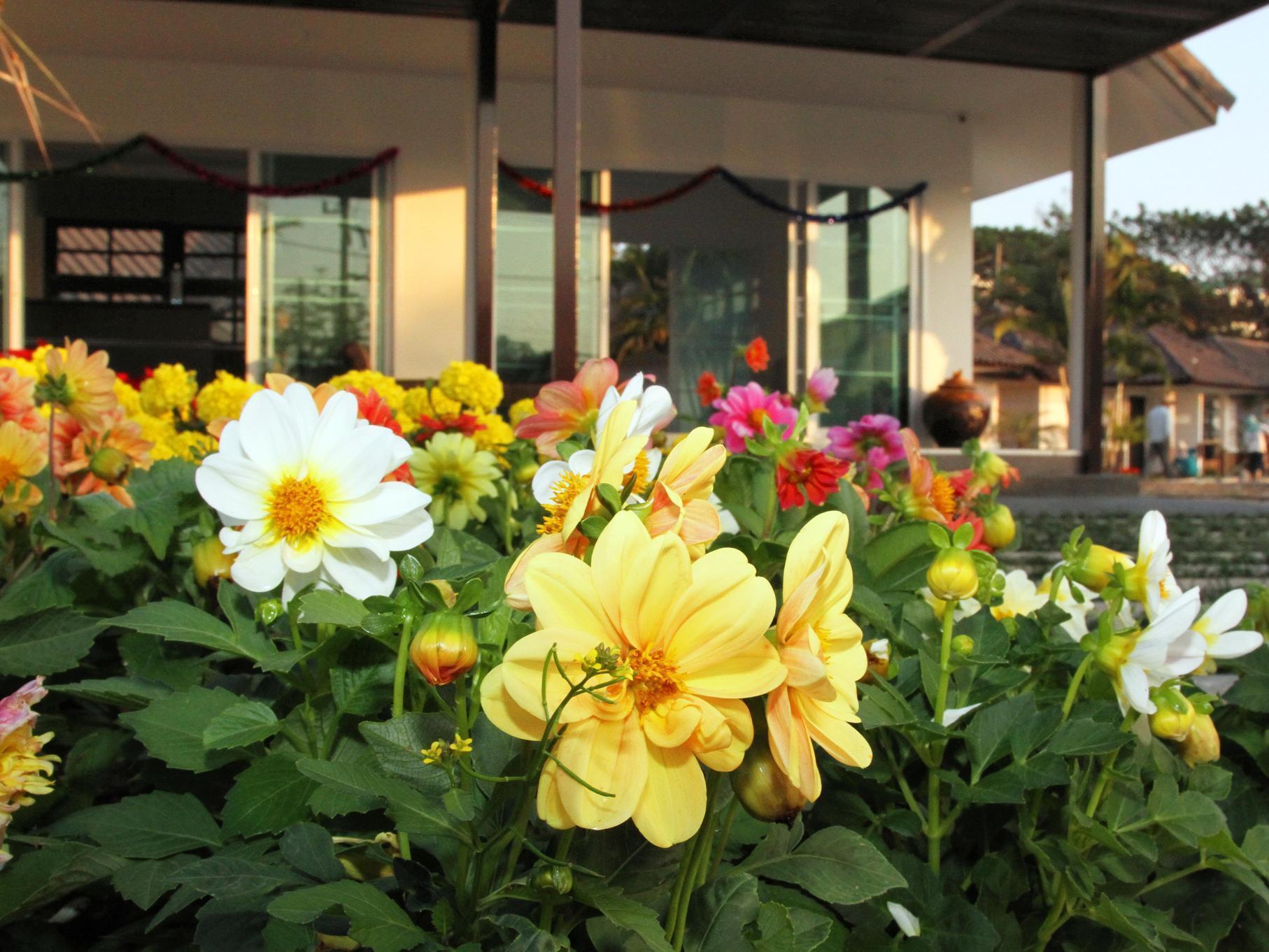 Chiangrai Green Park Resort Čiang Rai Exteriér fotografie